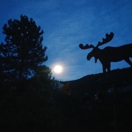 Alpine Moose Lodge Lake City Buitenkant foto
