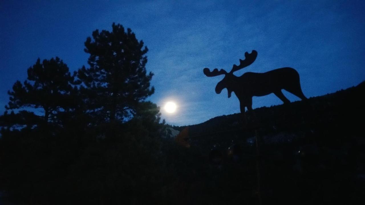 Alpine Moose Lodge Lake City Buitenkant foto