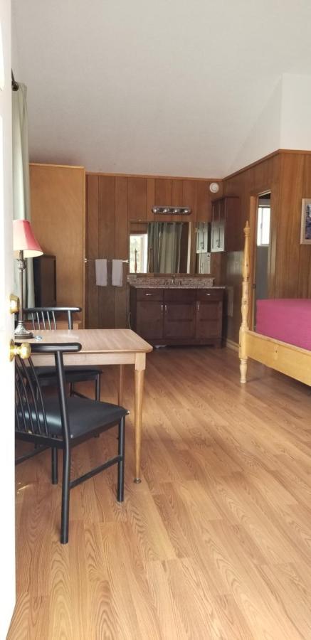 Alpine Moose Lodge Lake City Buitenkant foto