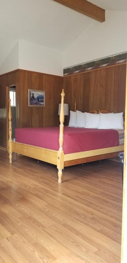Alpine Moose Lodge Lake City Buitenkant foto