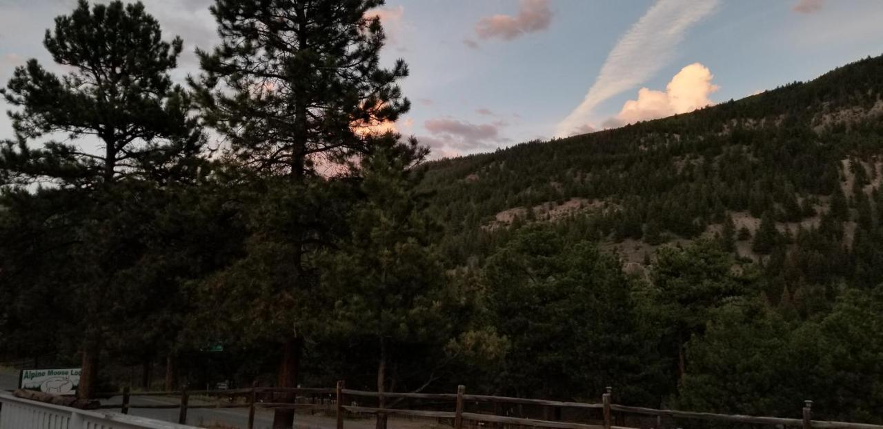 Alpine Moose Lodge Lake City Buitenkant foto